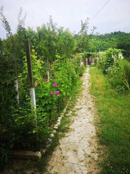 Casă cu 4 camere în Hotarele