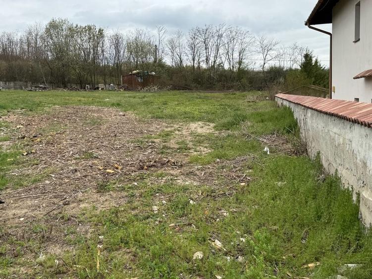 Spațiu comercial, în Paleu