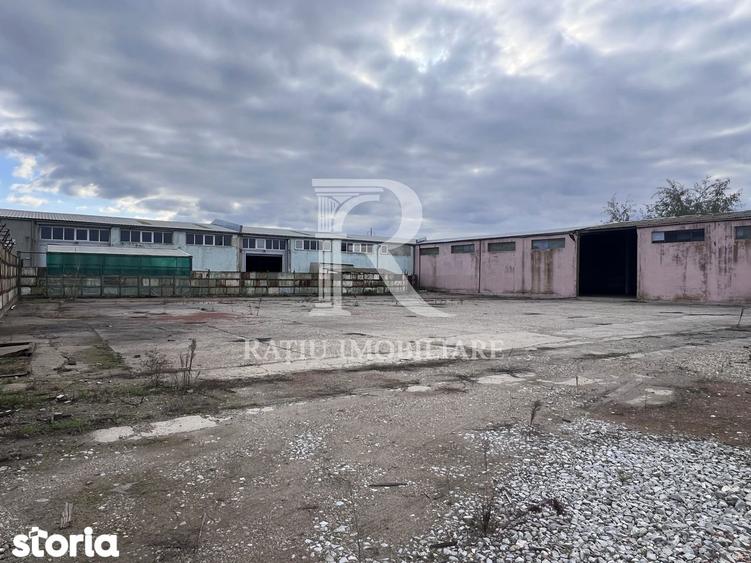 PLATFORMA INDUSTRIALA STRATEGICA IN ORADEA POTEN?IAL OPERATIONAL - 10