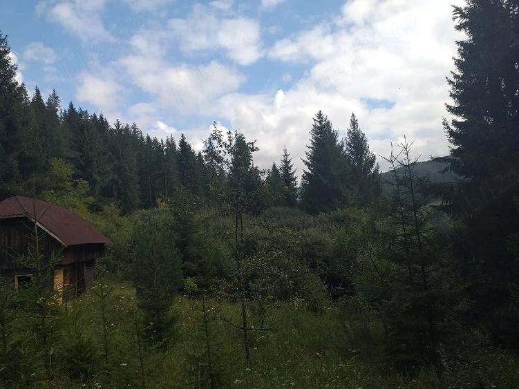 Teren de 9800 mp, în Central