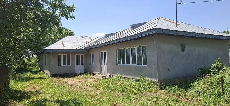 Casă cu Teren 2000 Mp în Mirceștii Vechi