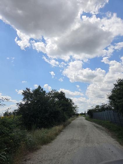 Teren de 5000 mp, în Buriaș