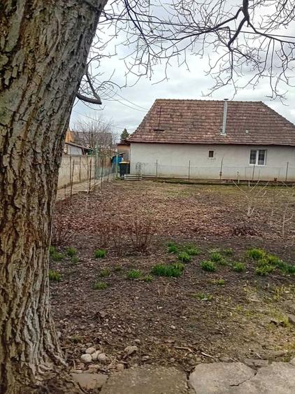 Casă cu 2 camere în Central