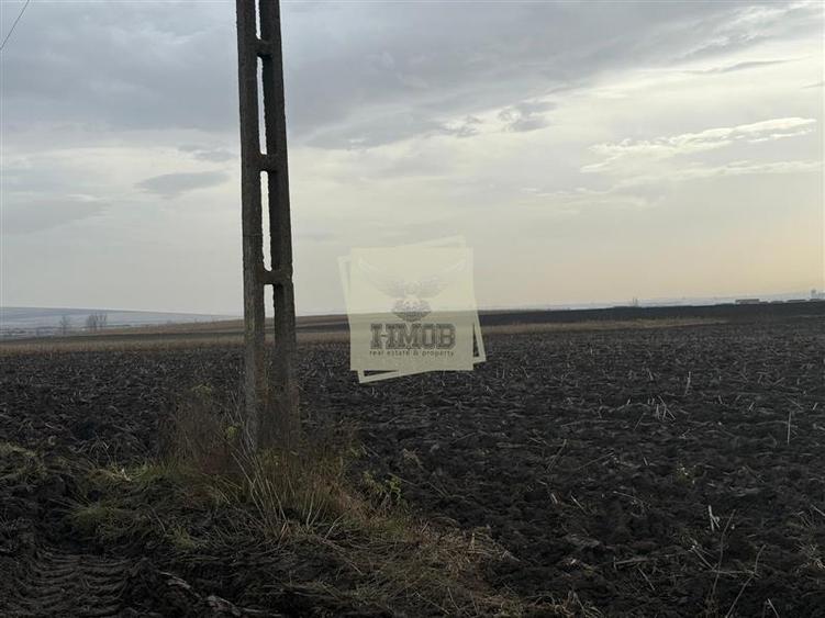 Teren agricol extravilan de 20300 mp, în Șura Mică