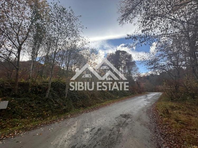 Teren Construcții intravilan de 3000 mp, în Sud