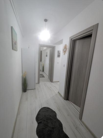 Apartament cu 2 camere decomandat în Vișan