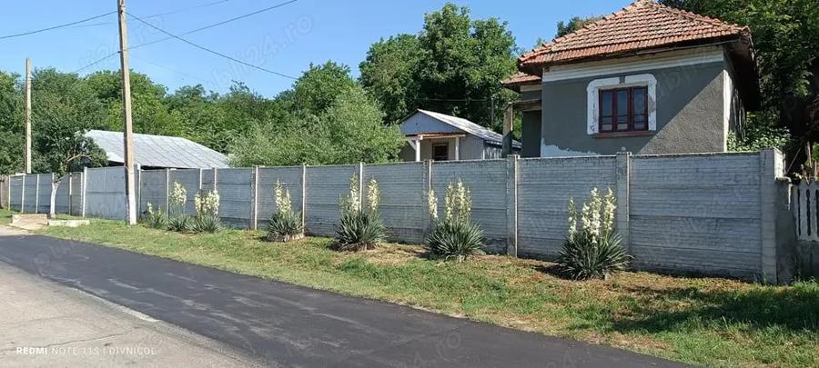 Teren de 4650 mp, în Vârvor