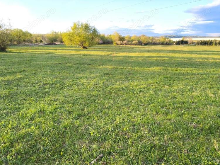 Teren de 510 mp, în Periferie