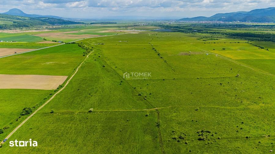 Teren de 5800 mp, în Central