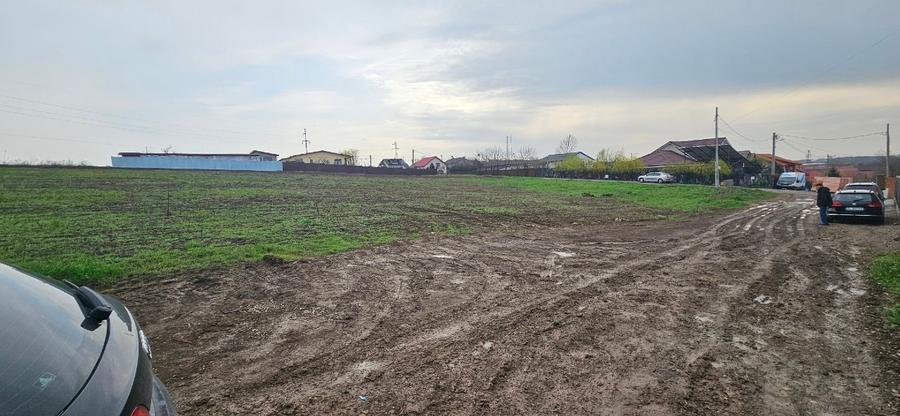 Teren Construcții extravilan de 6000 mp, în Șendreni