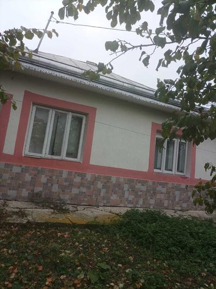 Casă cu 3 camere în Central