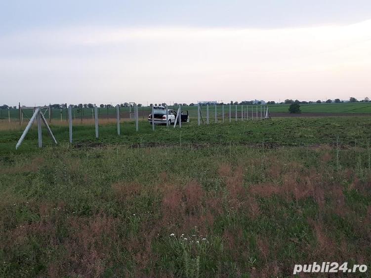 Teren de 805 mp, în Cornești