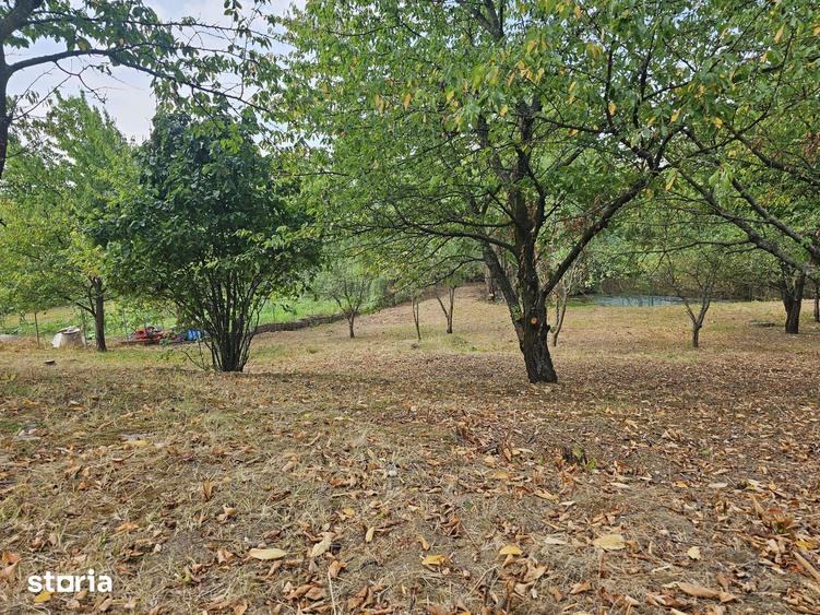 VILA RUSTICA SI TEREN 1220 MP IASI NICOLINA AL. T NECULAI STRUGURILOR - 6