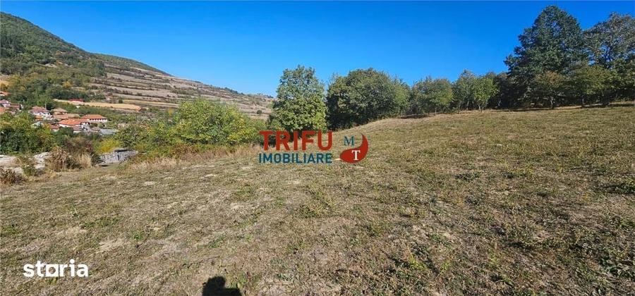 Teren de 9770 mp, în Meteș