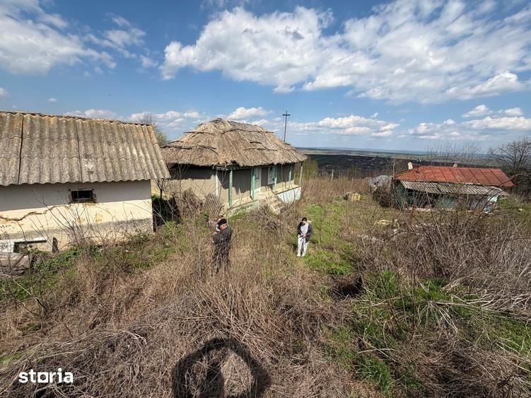 Casă cu 3 camere cu Teren 4000 Mp în Blăgești