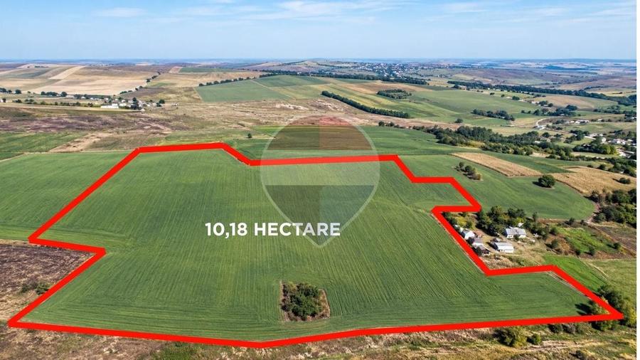 Teren agricol intravilan de 101886 mp, în Buzeni