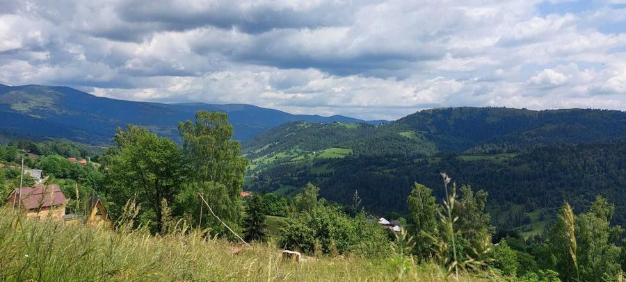 Teren de vis 2263 mp in Apuseni com. Horea, Alba | Priveliste superba - 5