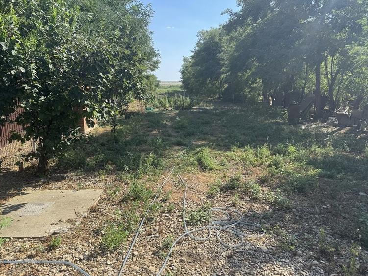 Casă cu 3 camere în Amara