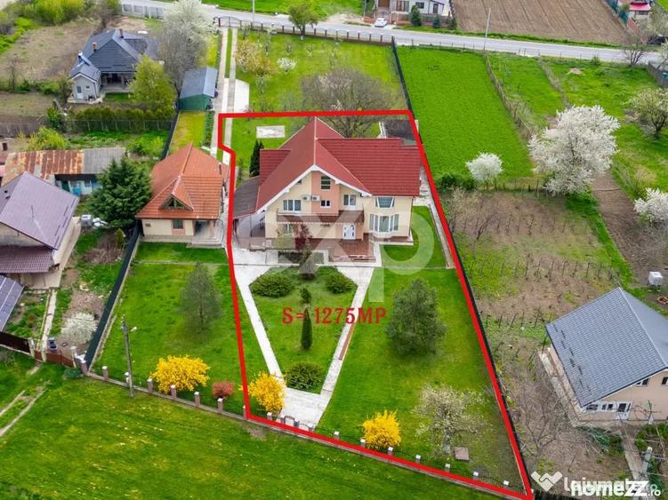 Casă cu 5 camere cu Teren 3659 Mp în Sărata