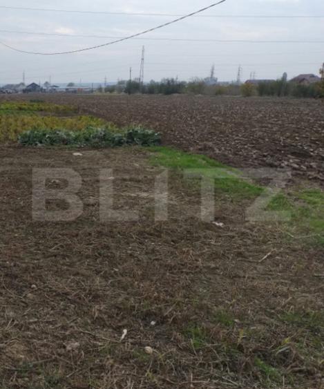 Teren extravilan, Isalnita, 13m deschidere, 3000mp - 1