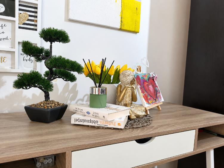 Apartament cu 3 camere decomandat, mobilat în Torontalului