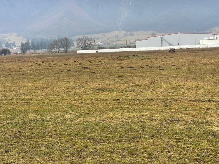 Teren Construcții intravilan de 11500 mp, în Bartolomeu