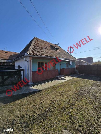 De vanzare casa familiala in Bradu? - 10