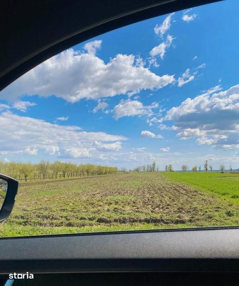 Teren de 7000 mp, în Filipeștii de Târg