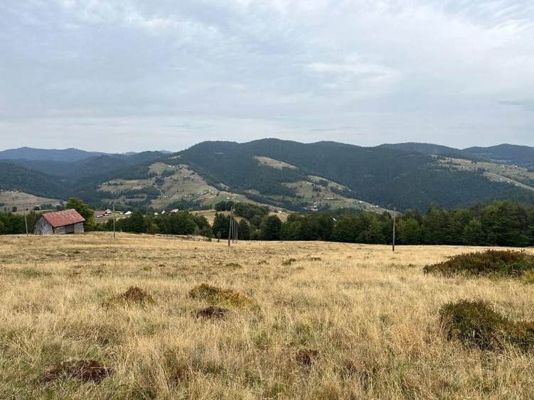 Teren Construcții intravilan de 15000 mp, în Arieșeni
