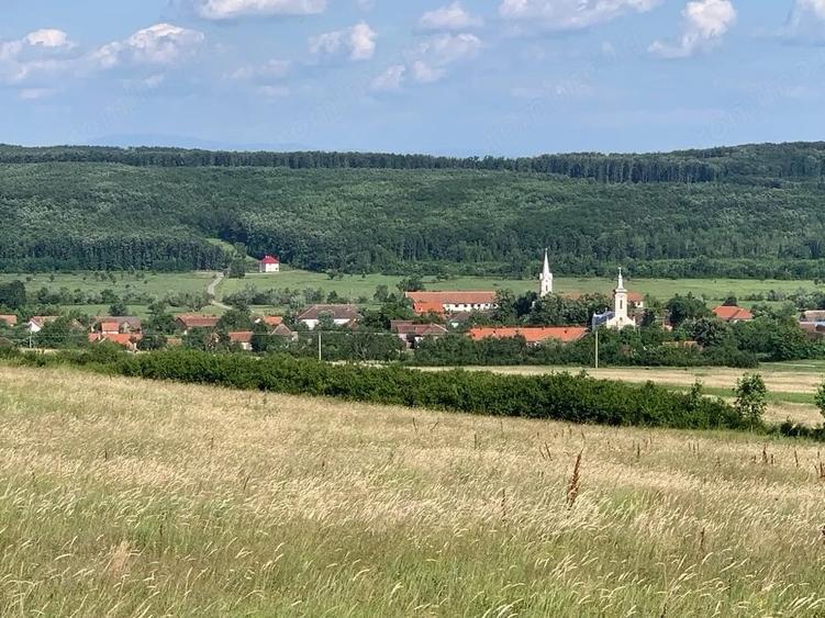 Teren de 580 mp, în Brestovăț