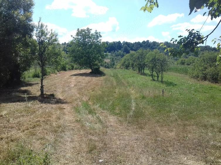 Teren de 5500 mp, în Borlova