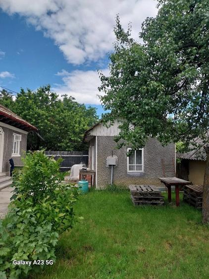 Casă cu Teren 1200 Mp în Zănești