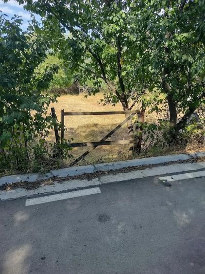 Teren de 482 mp, în Chicerea