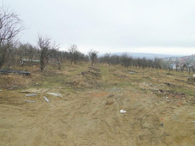 Teren intravilan , Bucium Barnova - 2