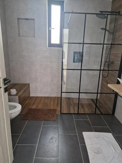 Casă cu Teren 3000 Mp în Ciolpani
