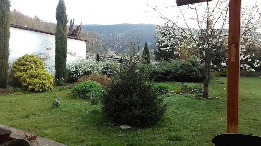 Casă cu 7 camere cu Teren 3000 Mp în Zam
