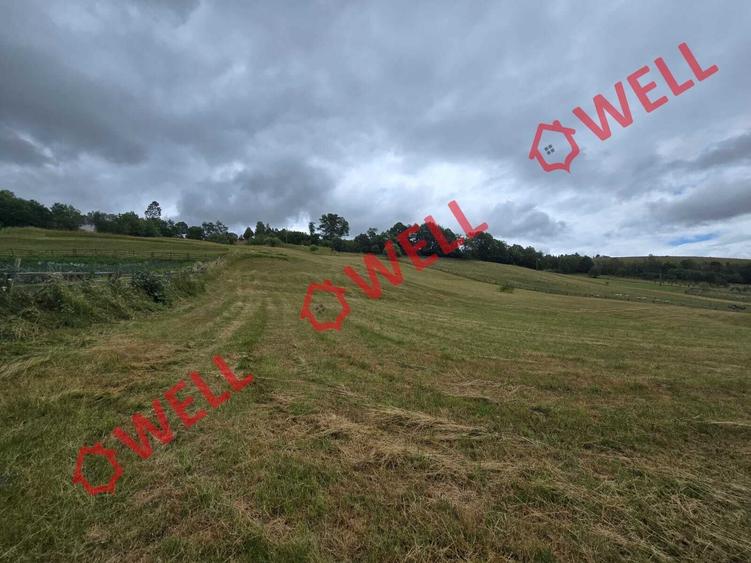 Teren extravilan de 3300 mp, în Sărămaș