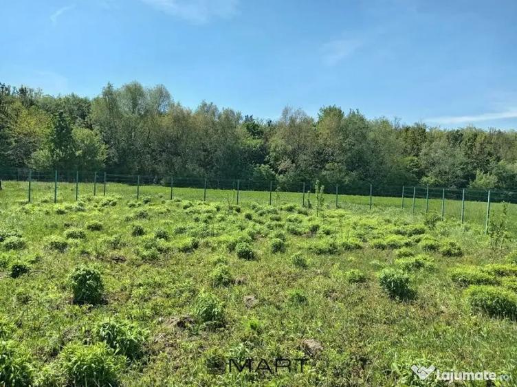Teren de 837 mp, în Stupini