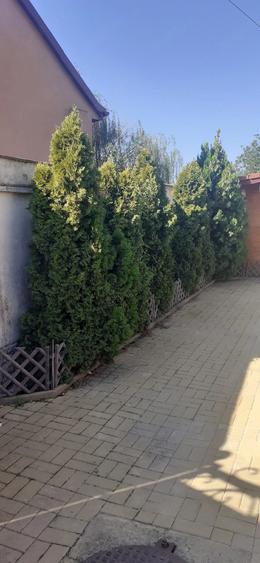 Casă cu Teren 690 Mp în Pârneava