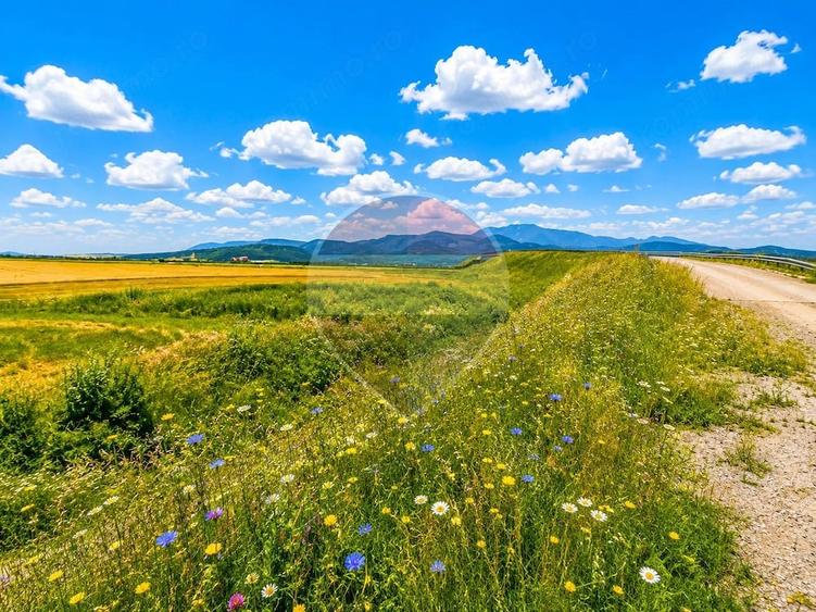 Teren de 17000 mp, în ISR