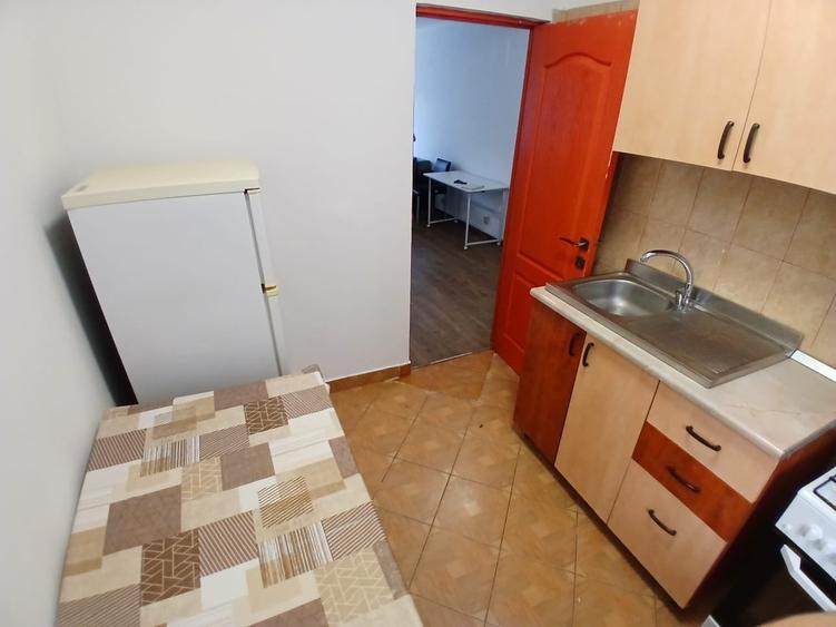 Apartament 2 camere, 2 minute de UMF, Piața Unirii - 7