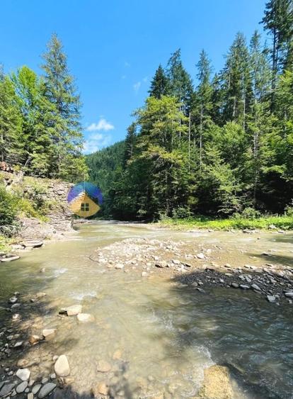 TEREN intravilan 925 mp TARCAU - SCHITU - 8