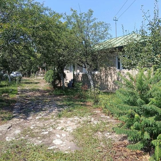 Casă cu 3 camere cu Teren 3000 Mp în Fințești