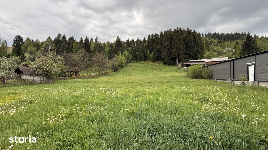 Teren de 2869 mp, în Fundu Moldovei