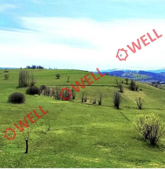 Teren agricol extravilan de 6519 mp, în Sărămaș