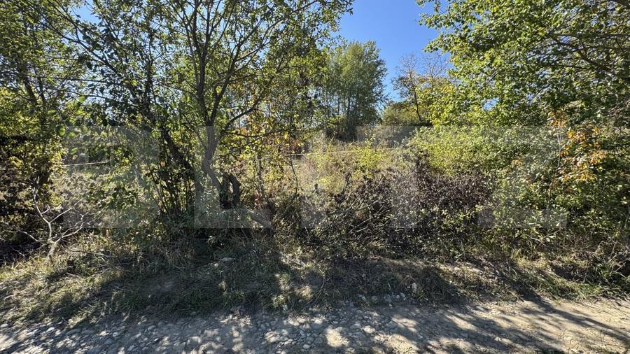 Teren Construcții extravilan de 1159 mp, în Nord-Est