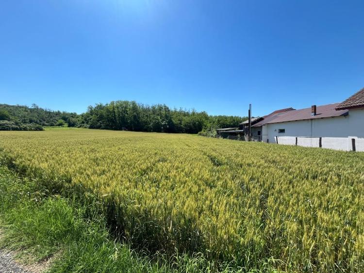 Teren intravilan cu vedere la pădure, 2.533 mp, Melinești, Amărăști - 2