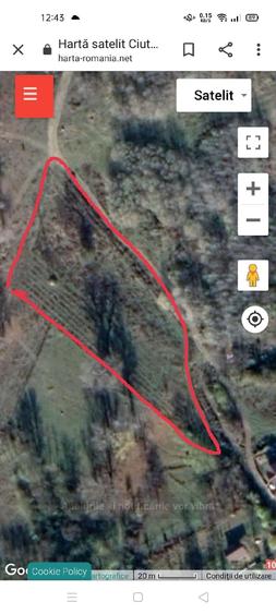Teren de 5000 mp, în Ciuta