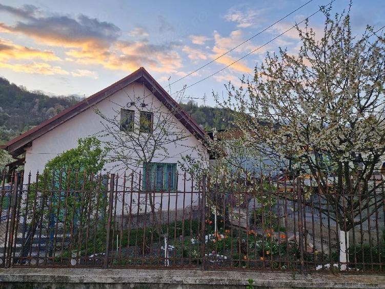 Casă cu Teren 450 Mp în Central