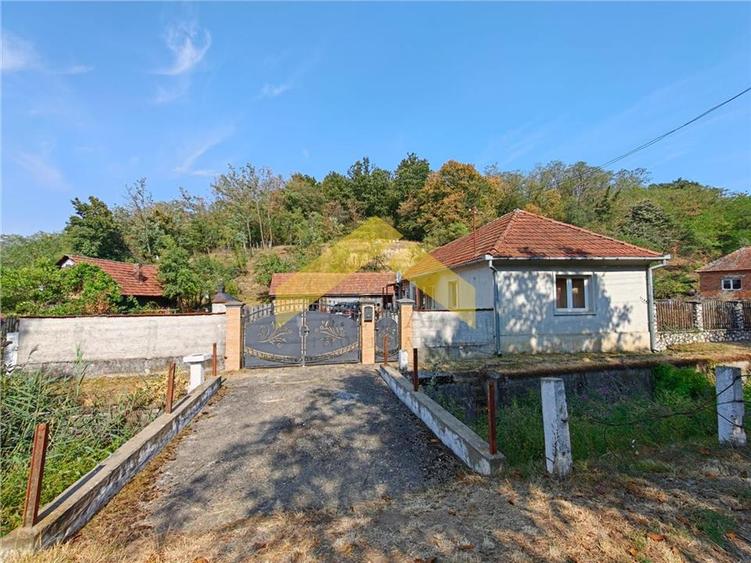 Casă individuală cu 3 camere cu Teren 2504 Mp în Cuiaș